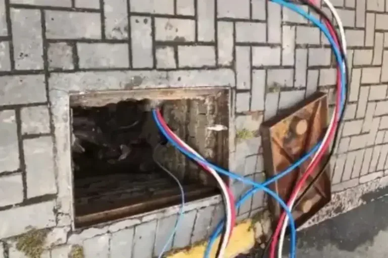 Furto de fios causa prejuízo de R$ 12 mil em residência de Umuarama