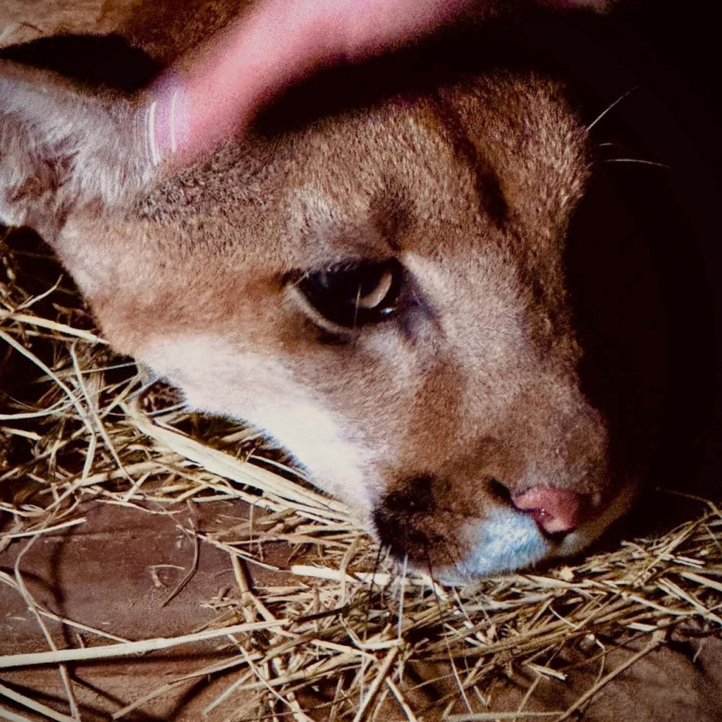 Whatsapp Image 2025 11 22 At 09.45.11