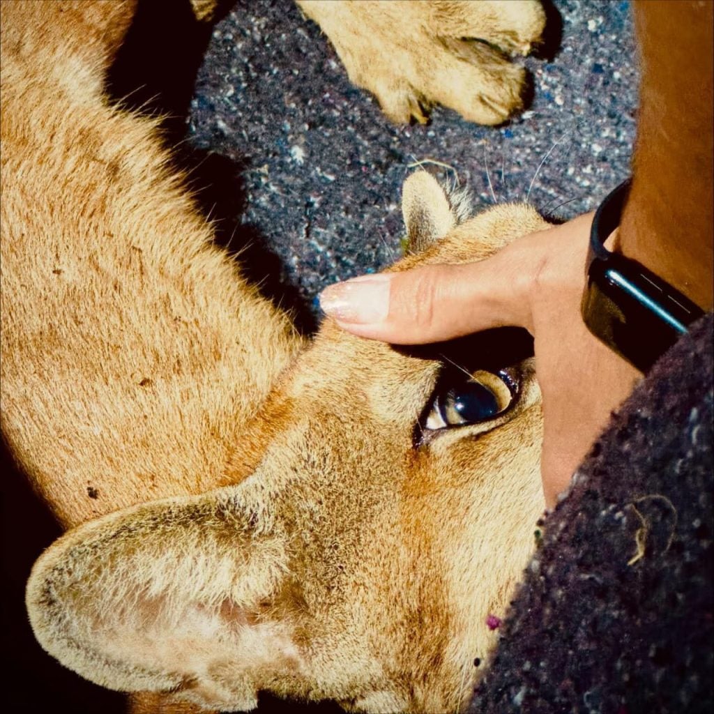 Whatsapp Image 2025 11 22 At 09.45.12