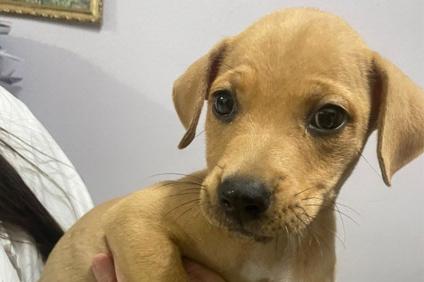 Whatsapp Image 2025 11 29 At 07.48.30