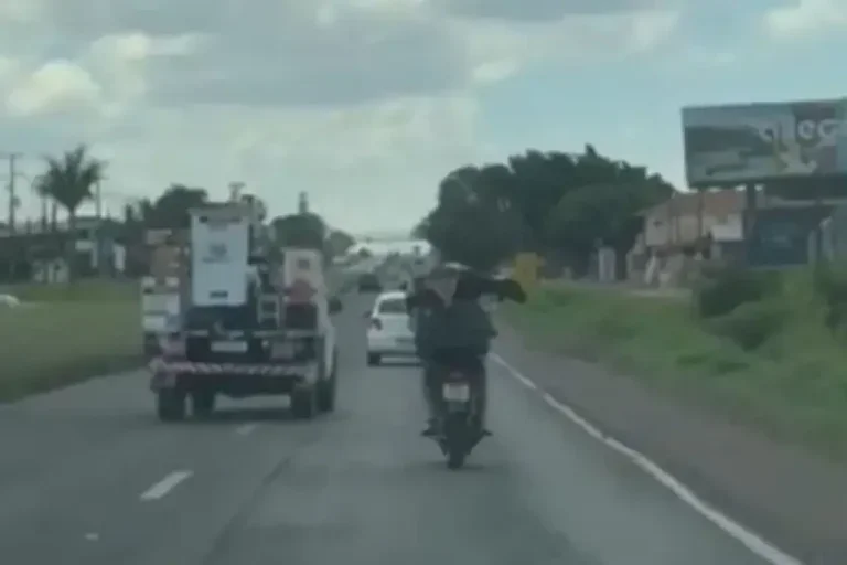Cabrito é flagrado "pegando carona" em garupa de moto na BR-376.