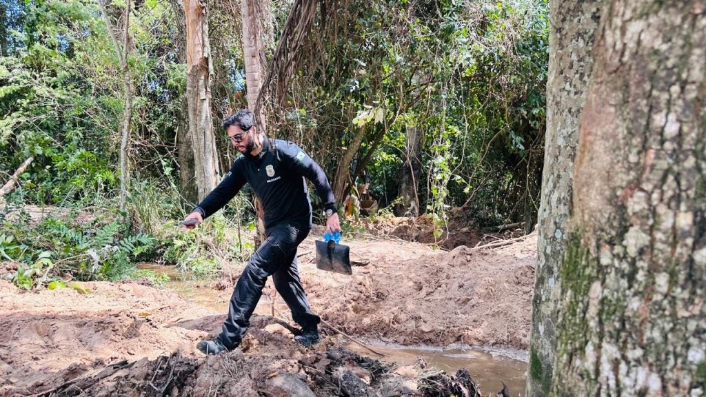 Delegado Thiago Icaraima