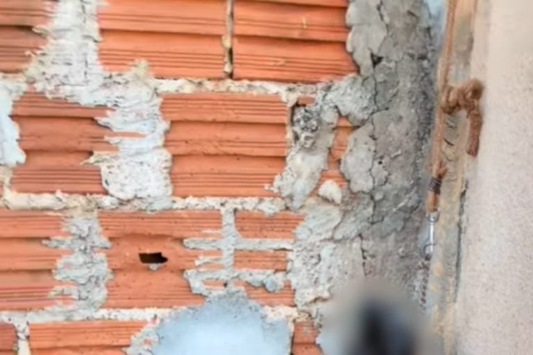 Cachorro morre enforcado por corrente e PCPR investiga tutor