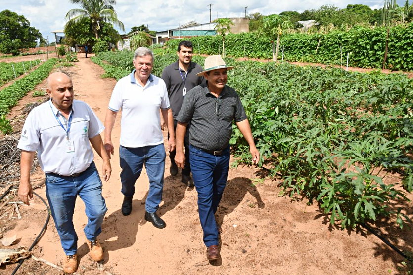 Família De Umuarama Recebe Certificação De Produção Orgânica (3)