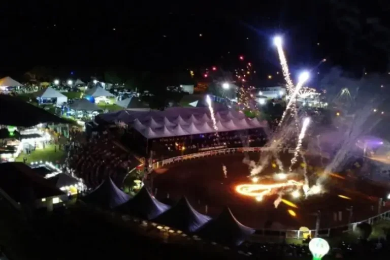 Festa Altônia