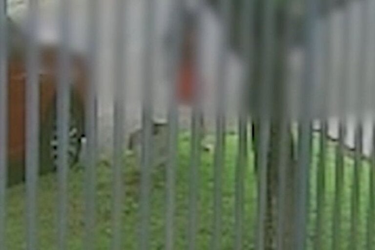 Fotos Matérias 2025 12 17t123929.331