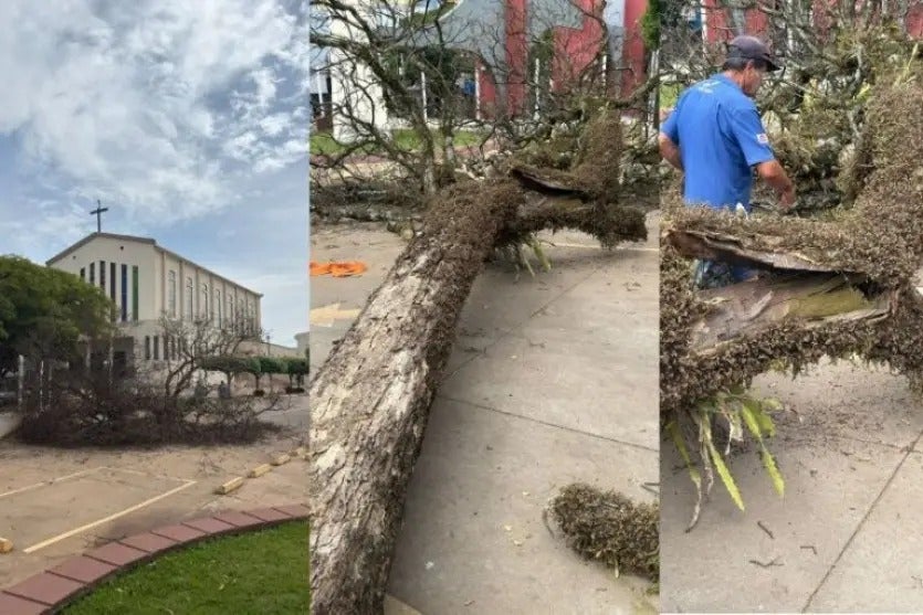O Ipê Amarelo Que Coloria A Igreja Matriz Já Não Existe Mais!!! (3)
