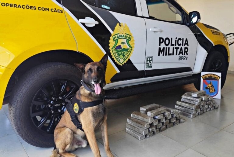 Pre Prende 2 Jovens Com Quase 30 Quilos De Maconha Na Pr 323 (1)