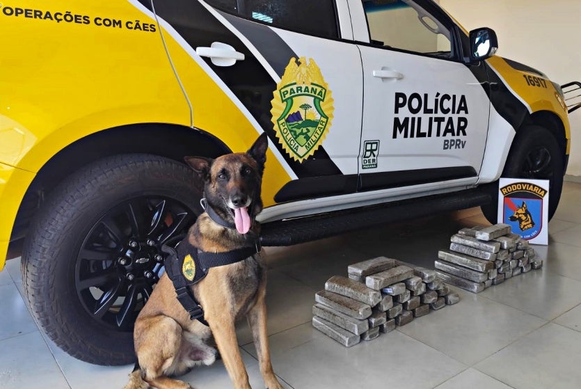 Pre Prende 2 Jovens Com Quase 30 Quilos De Maconha Na Pr 323 (1)