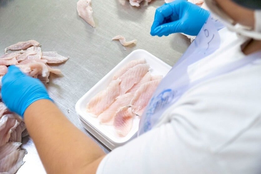 Visita A Agroindústria Permite Experiência Prática A Acadêmicos (1)