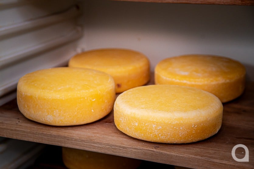 Zootecnista Investe Em Vacas Para Produzir Queijos Artesanais (14)