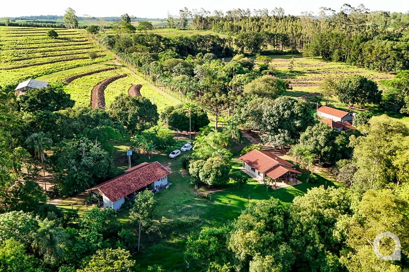 Zootecnista Investe Em Vacas Para Produzir Queijos Artesanais (4)