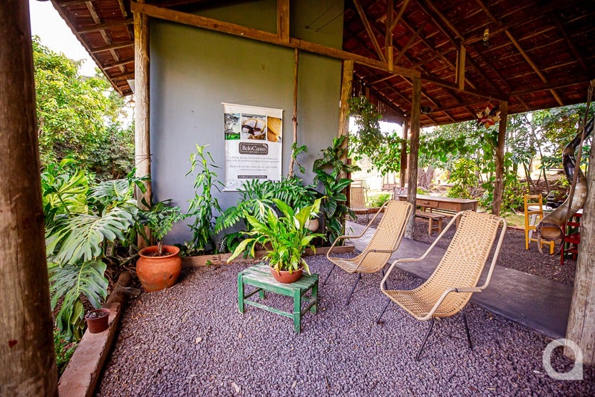 Zootecnista Investe Em Vacas Para Produzir Queijos Artesanais (5)