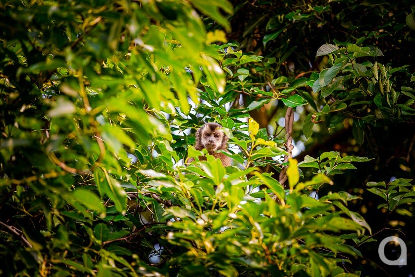Zootecnista Investe Em Vacas Para Produzir Queijos Artesanais (8)