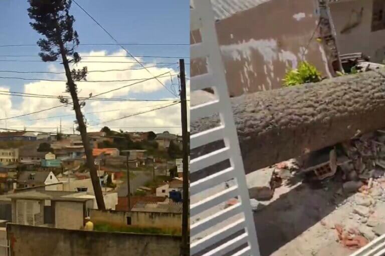 Árvore cai sobre casa e mata cachorro após ventania no Paraná.