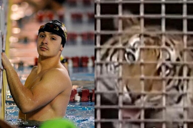 Paranaense perdeu braço para tigre acumula vitórias na natação e mira recorde mundial.
