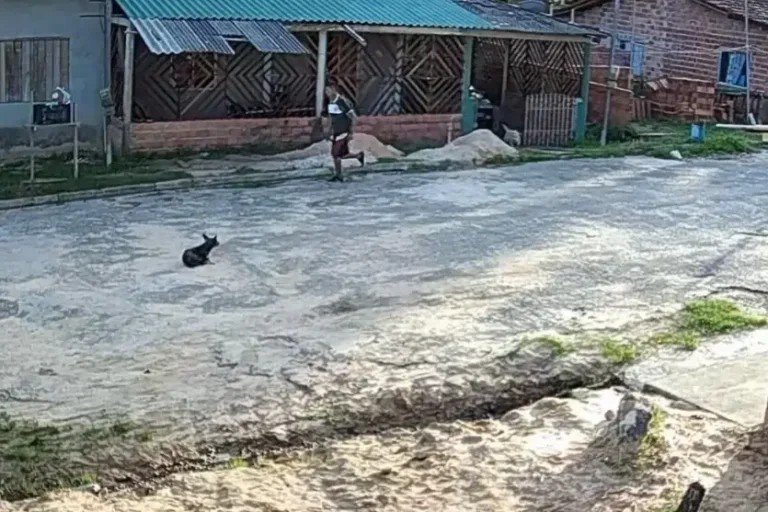Pará Feminicídio 2