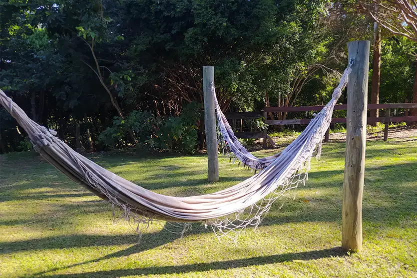 Queijos Artesanais Acervo Pessoal (8)