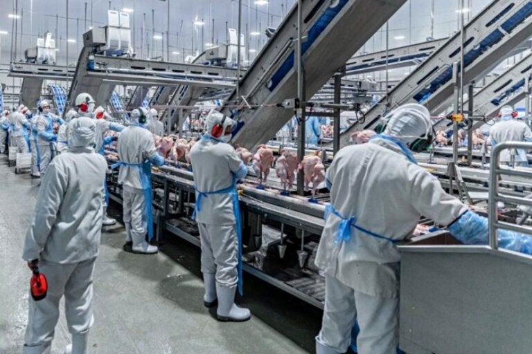 Agência Do Trabalhador Divulga 183 Vagas De Emprego Nesta Terça