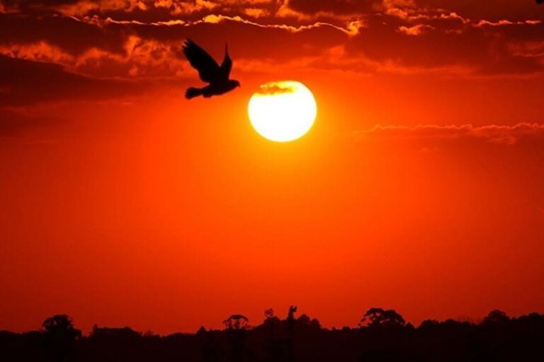 Antes O Clima Era Agradável... Hoje Umuarama é Uma Ilha De Calor! (1)