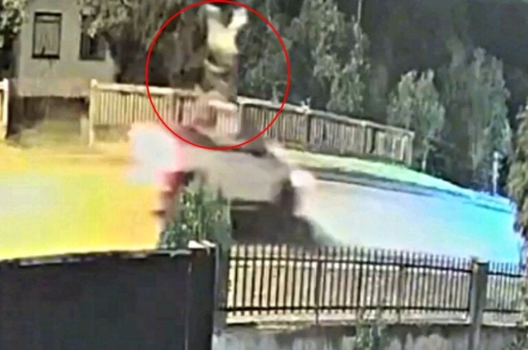 Ciclista Atropelado Cai Na Caçamba Da Picape E Acorda Na Garagem