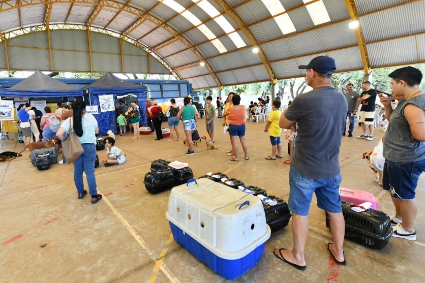 Equipe Do Castrapet Realiza Mutirão De Castrações Gratuitas (2)