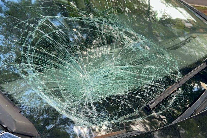 Fotos Matérias 2026 01 14t153725.664