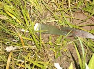 Filho esfaqueia pais dentro de casa e é encontrado ferido em Iporã