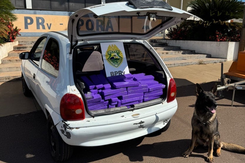 Pre Apreende Arsenal, Munições E 210 Kg De Maconha Em Iporã (1)