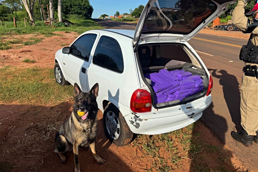 Pre Apreende Arsenal, Munições E 210 Kg De Maconha Em Iporã (2)