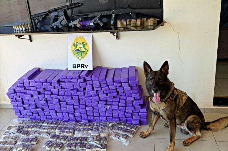 Pre Apreende Arsenal, Munições E 210 Kg De Maconha Em Iporã (3)