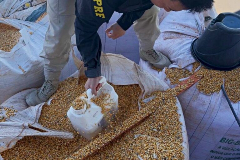 Prf Apreende Carga De Agrotóxicos Ilegais Em Alto Paraíso (1)