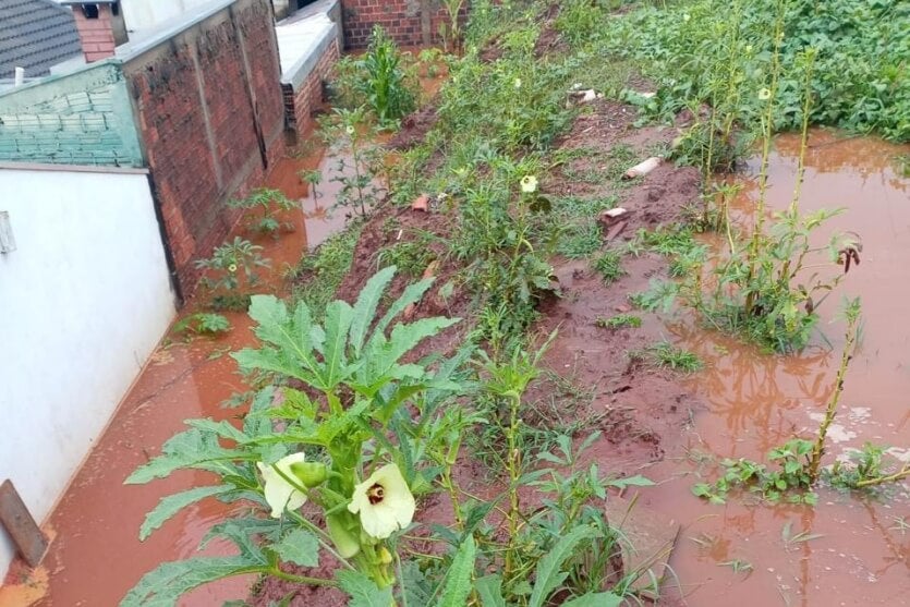 Whatsapp Image 2026 01 02 At 13.06.23