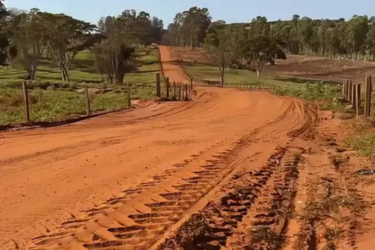 Estrada Altônia