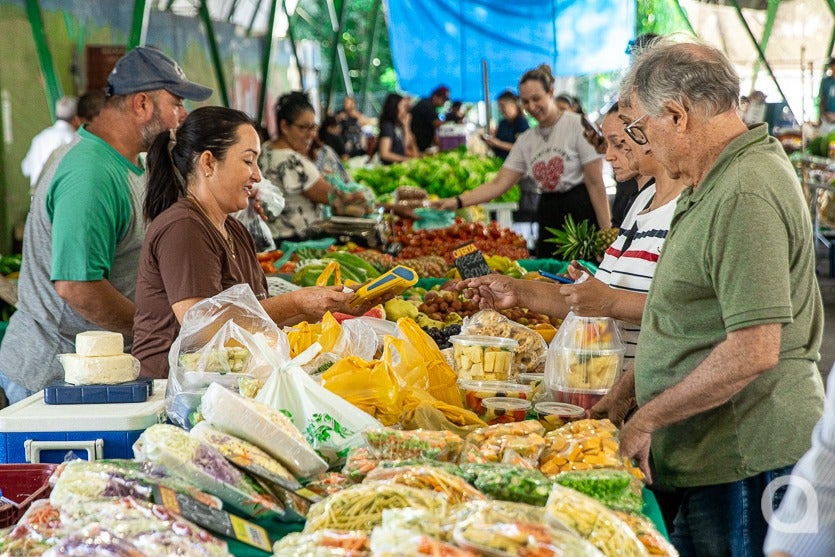 Hortaliças Prontas para Consumo São Tendência (10)