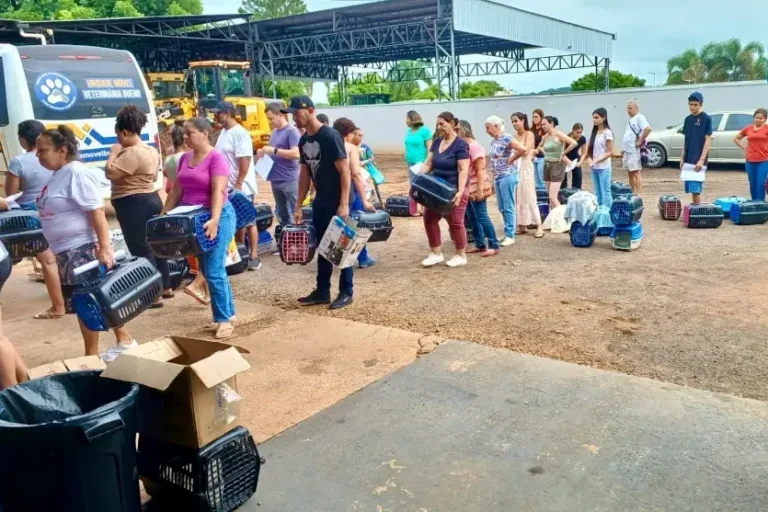 Nova Olímpia 2
