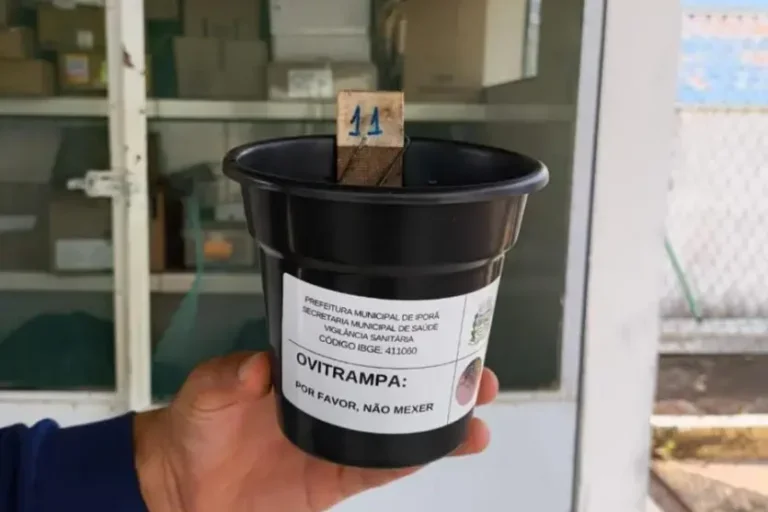 Ovitrampas 1