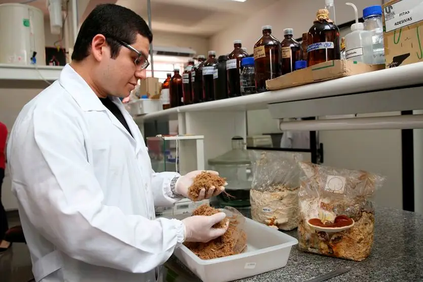 Unipar abre inscrições para mestrado e doutorado com programas bem avaliados