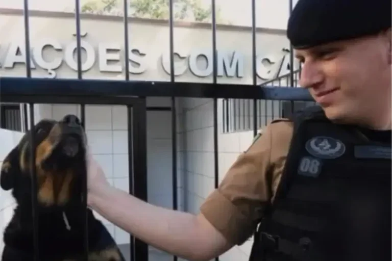 Cabo da PM morto após capotamento na PR-323 é velado em Maringá nesta quarta-feira