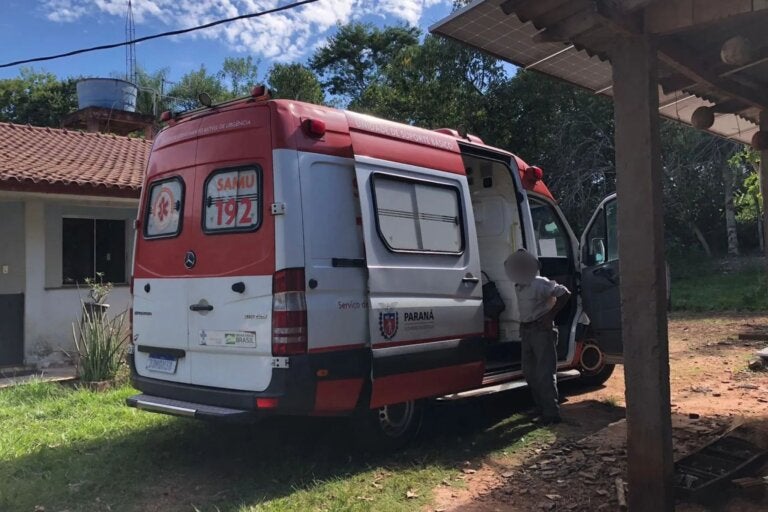 Idoso é atacado por enxame de abelhas e sofre mais de 50 picadas na PR-489