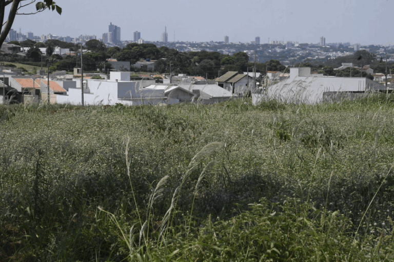 Prefeitura intensifica fiscalização e irá multar donos de terrenos sujos e com mato alto.