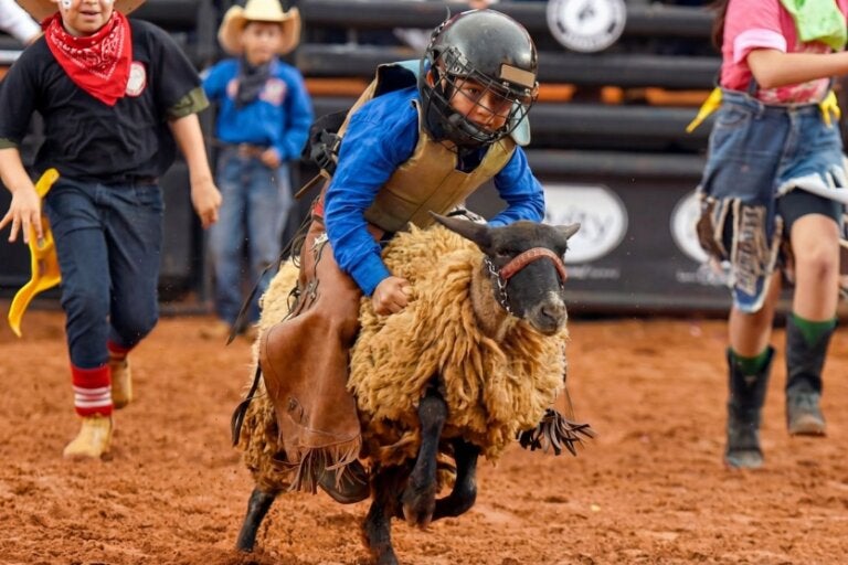 Sru Inicia Inscrições Para Rodeio Mirim Da Expo Umuarama 2026