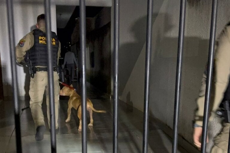 Ataque de pit bull deixa mulher ferida e mobiliza Polícia Militar em Umuarama