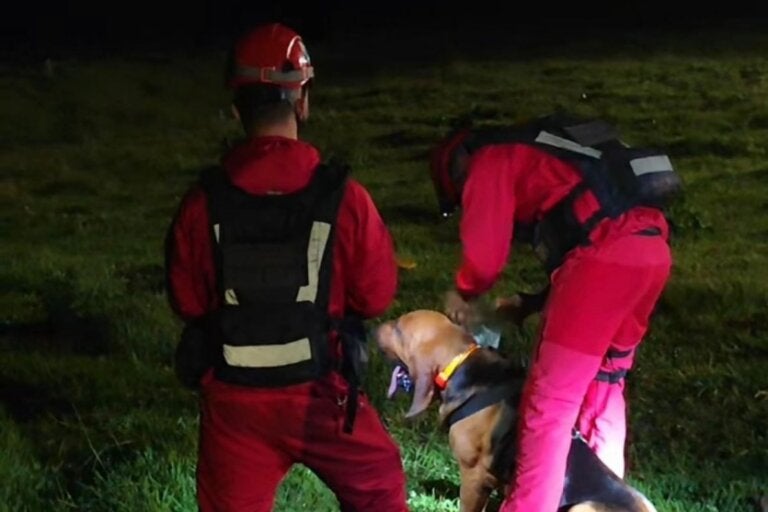 Equipes de Curitiba somarão esforços na busca por adolescente desaparecido em Mariluz