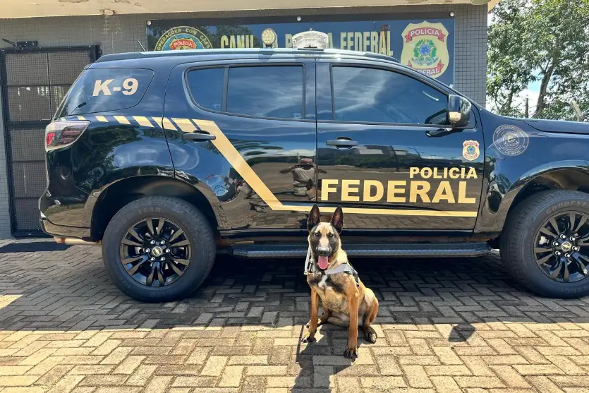 Cadela Pf