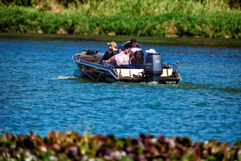 Defeso da Piracema termina, mas pesca continua com restrições; entenda