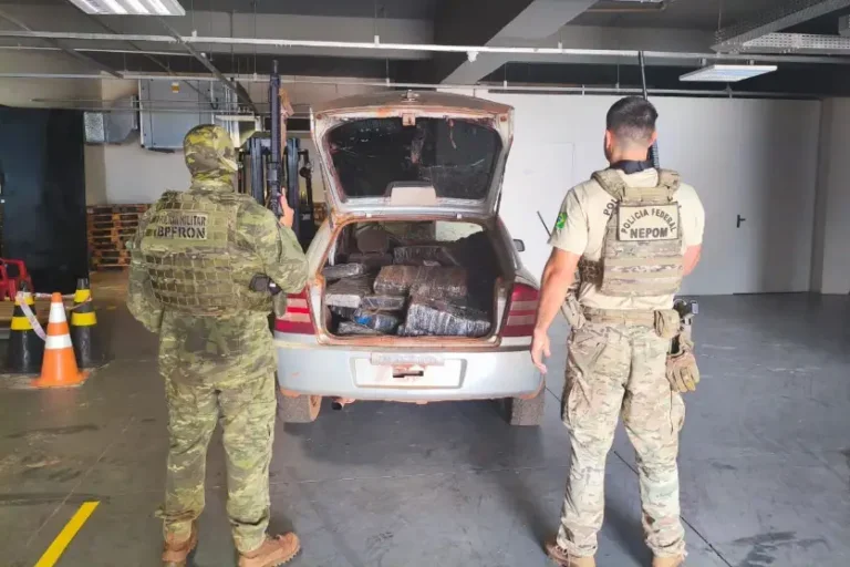 Polícia Federal e BPFron apreendem mais de meia tonelada de maconha em Guaíra
