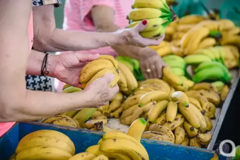 Feira do Produtor de Umuarama seguirá normalmente nesta terça e quarta-feira