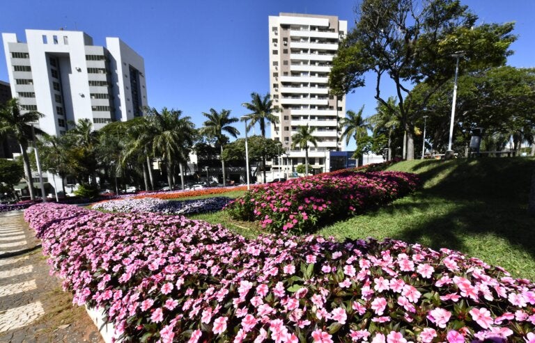 Cadê as flores de Umuarama? Secretário explica retirada e diz que elas voltarão