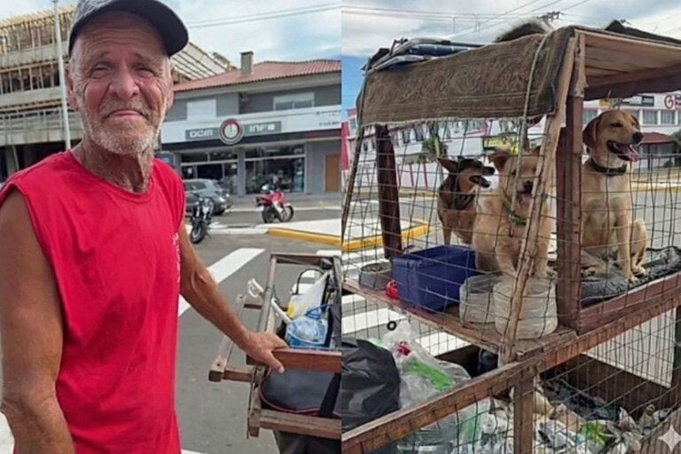 Catador cria carrinho vip para pets e vira sensação na internet